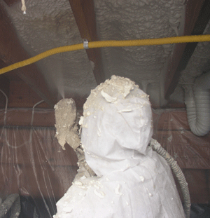  MA crawl space insulation